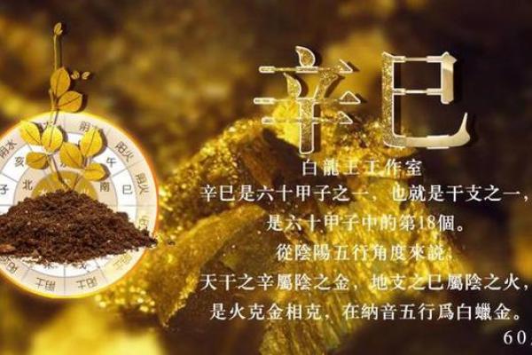 探秘金命与绝金：命理中的深意与启示