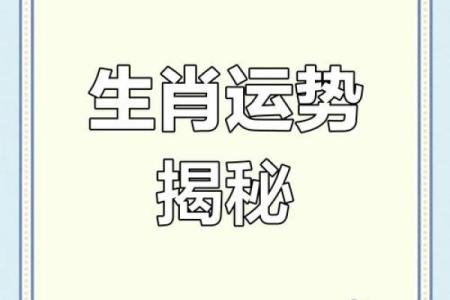 命格生肖解析：从属相看人生运势与发展方向