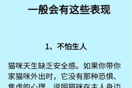 为什么猫猫的命很短？探索猫咪短暂生命的奥秘与关怀