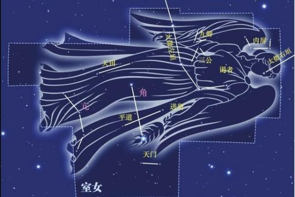 探秘东方苍龙命格：运势、性格与人生道路的奇妙影响