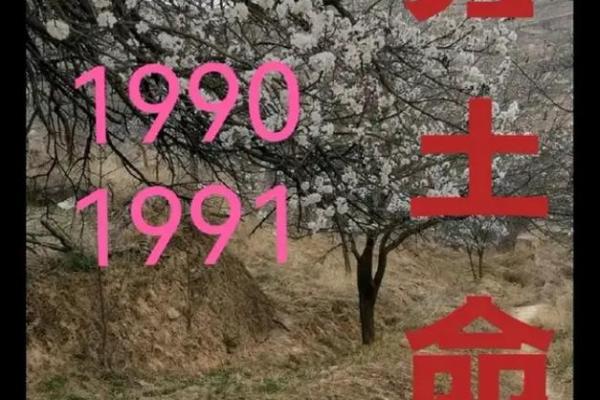 67年大驿土命：探秘土命的性格与运势之旅