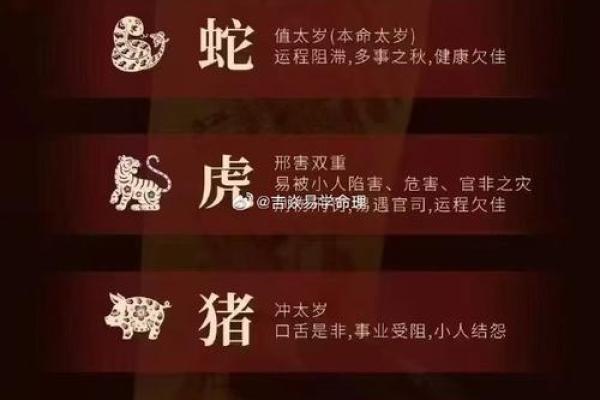 算卦之道：根据属相解读命理的奥秘与启示