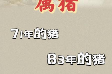 1983年属猪者的命运与生活：智勇双全，风生水起！