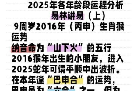 16年猴宝宝的命运解析：聪明调皮的他们将如何迎接未来？