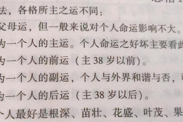 2017鸡年：探秘六种命理，揭示你的命运之路