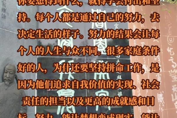 不信命不行：掌控人生的关键在于选择和努力