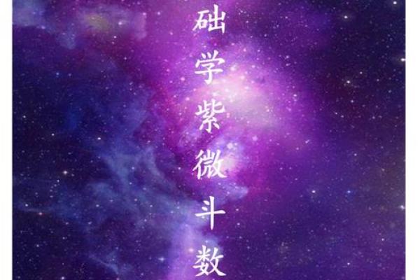 揭秘高学历命盘：哪些星座注定学霸之路？