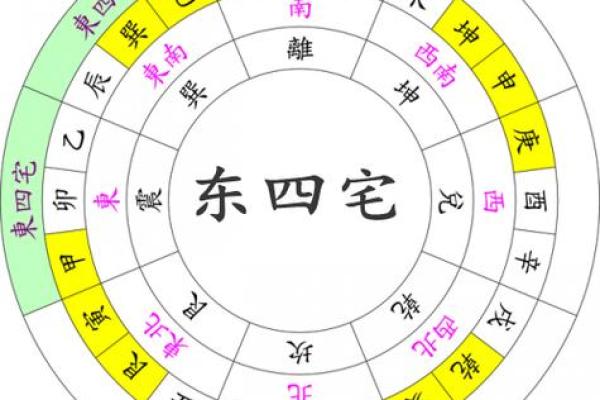 东四命与西四命：八字命理中的命格分布探秘