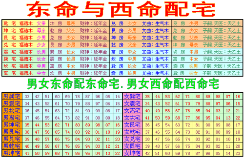 东四命与西四命：八字命理中的命格分布探秘