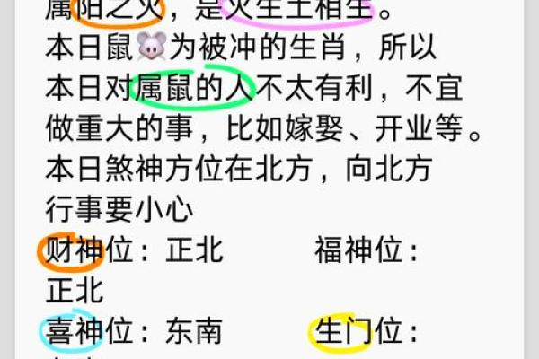 2019年属鼠运势与命理解析：揭示你的未来之路与生辰密码