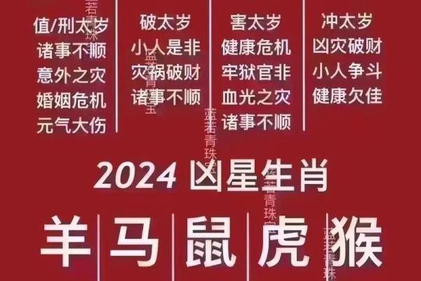 2019年属鼠运势与命理解析：揭示你的未来之路与生辰密码