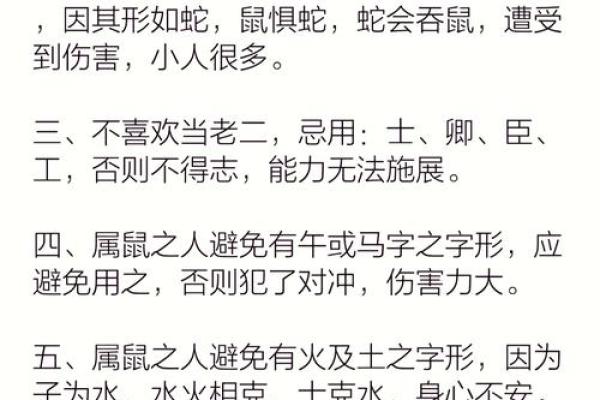 1984年鼠年出生的男士命运解析：揭秘他们的性格与人生路径