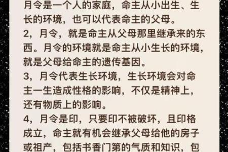 2002年出生的人命理解析：命运与性格的深度剖析