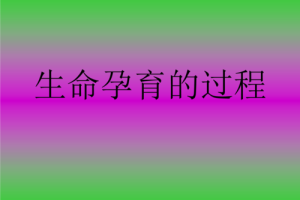 01年出生的命运解析：探秘这一年的孩子们与他们的未来