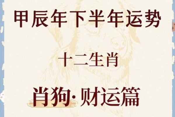 九四属狗，命途多舛，平步青云的秘笈解析