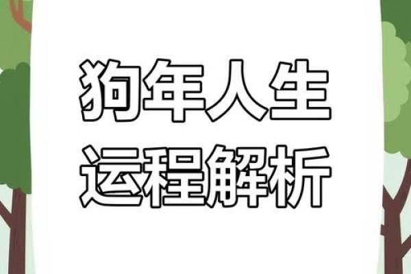 70年属狗男生的命运解析：幸福与挑战并存的人生旅程