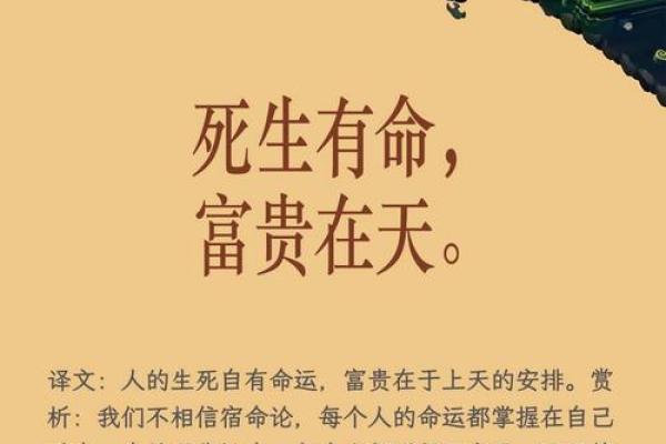 命什么听什么，成语背后的智慧与人生哲学