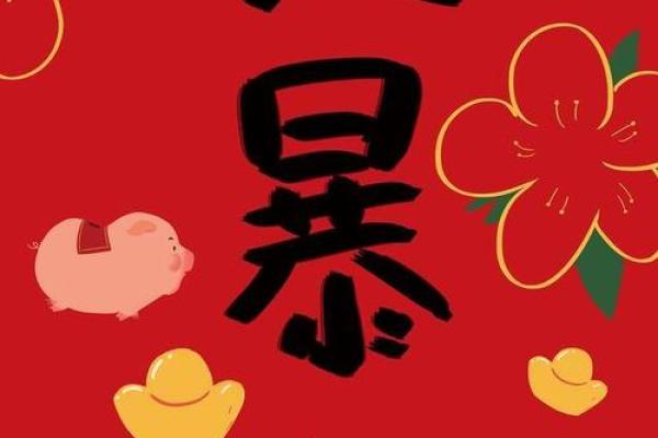 揭秘2019年猪年命运：如何掌控自己的生活与未来！