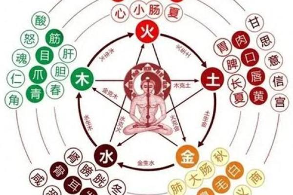 命理中的火元素：热情、能量与生肖的奥秘