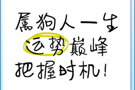 1972年属狗的命运与性格分析：开启快乐人生的钥匙