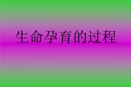 01年出生的命运解析：探秘这一年的孩子们与他们的未来