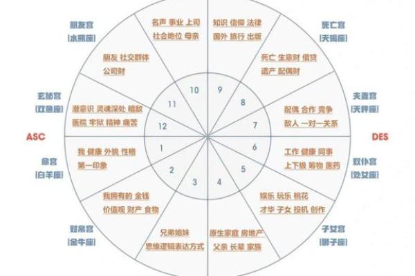 探索2016年命格：解锁命运与人生的奥秘