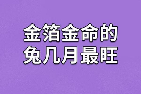 962年出生的人与金命的深刻联系