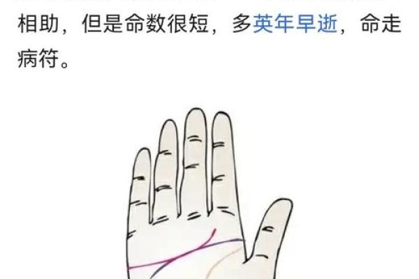 揭示女人手掌纹理的秘密：命运与幸福的钥匙