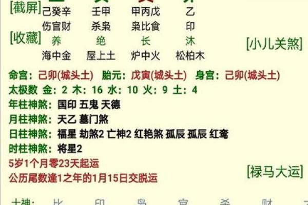 水火土木命理解析：探寻五行之奥秘与人生运势