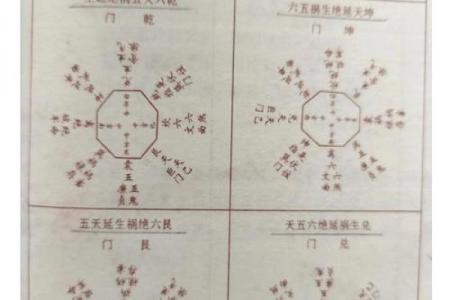 探秘命局：理解命主与身主的奥秘与影响