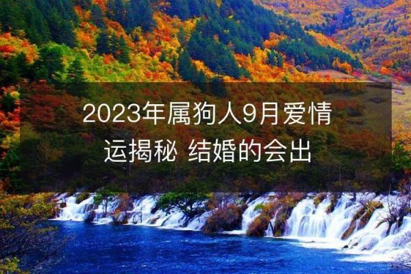 1942年属相分析：风云变幻中的狗年命运解读