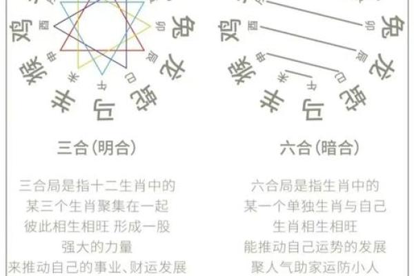 揭示属相命理：如何通过生肖了解你的命运之路