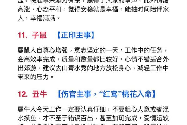 揭示属相命理：如何通过生肖了解你的命运之路