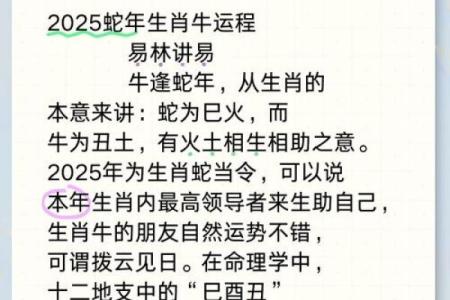 2009年属牛人：在生活与事业中如何迎接挑战与机遇