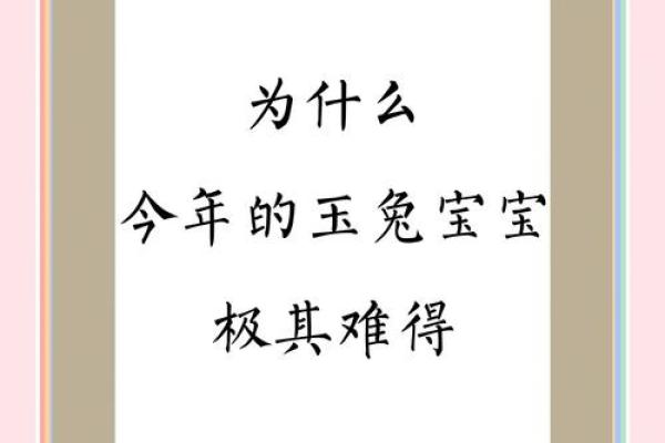 2027年：属于火兔的命年与它带来的深远影响