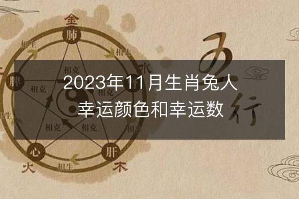 1983年属兔的命运解析：命理背后的智慧与启示