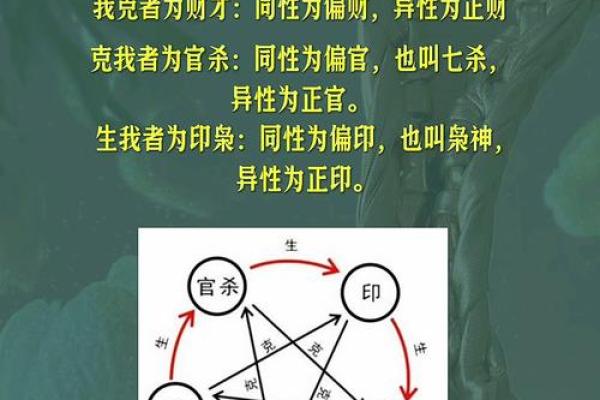 深入解析女命十神，揭示命理背后的秘密与智慧