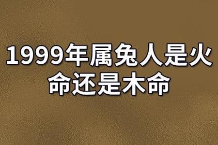 2027年：属于火兔的命年与它带来的深远影响