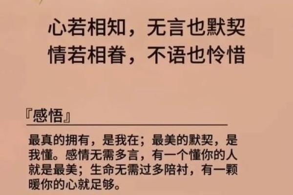 相依为命的深刻内涵与珍贵情感探讨