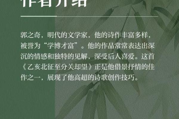 乙亥年出生的人命运与婚姻：探究命理背后的深意与情感之路