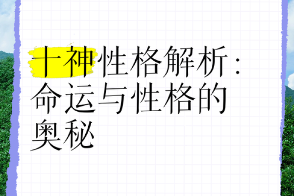 探秘24.6两的命运之路：揭示生命与命运的奥秘