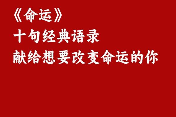 探寻“仆命”的深刻内涵：你我皆有不同的使命