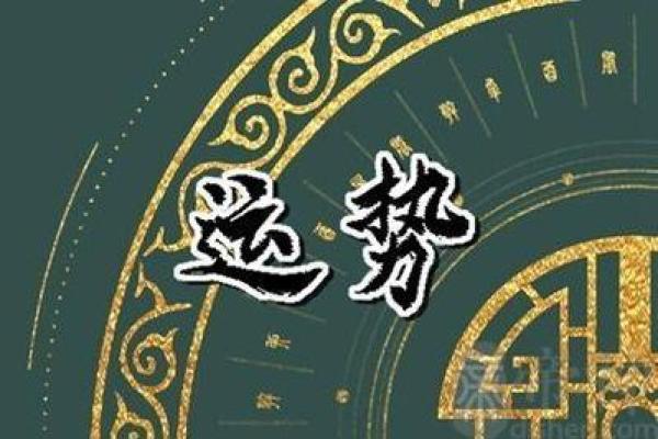 属虎女2023年运势解析：命理与生活的完美结合