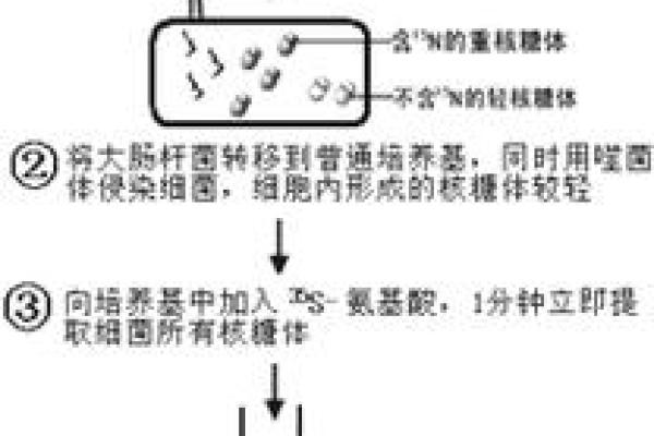 探索1958年11月的命运之转折与环境变迁