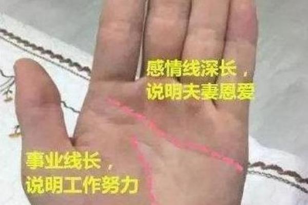 陈奕迅与命格女人：他眼中的理想伴侣之秘解析