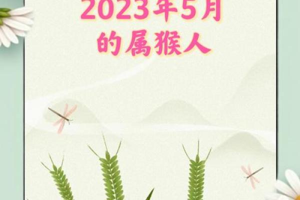 2020年属猴人的命运分析与生活指南：如何把握机遇与挑战