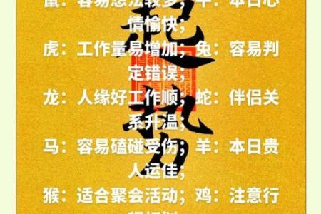 1935年生肖命运解析：探寻命理背后的秘密与人生轨迹