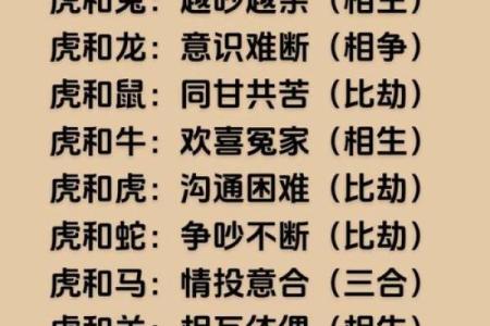 属虎女2023年运势解析：命理与生活的完美结合