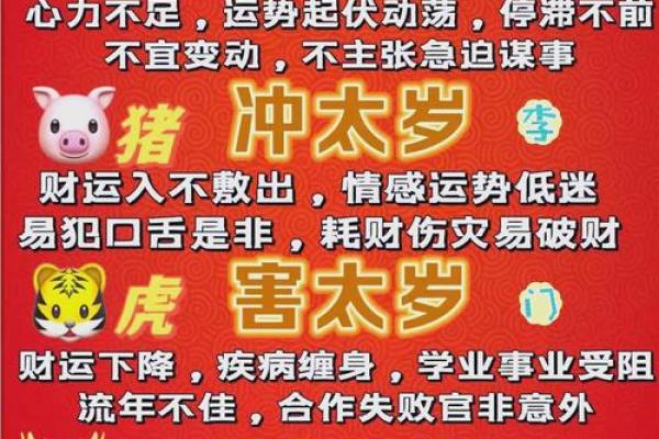 2025年属相与命理解析：揭示你的未来与命运之路