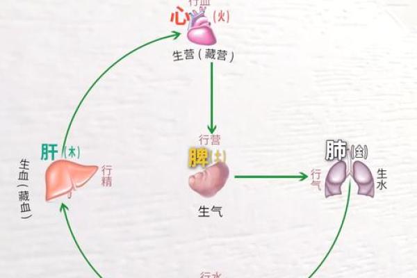 火命人的火旺特征与性格解析：灵动与激情的结合